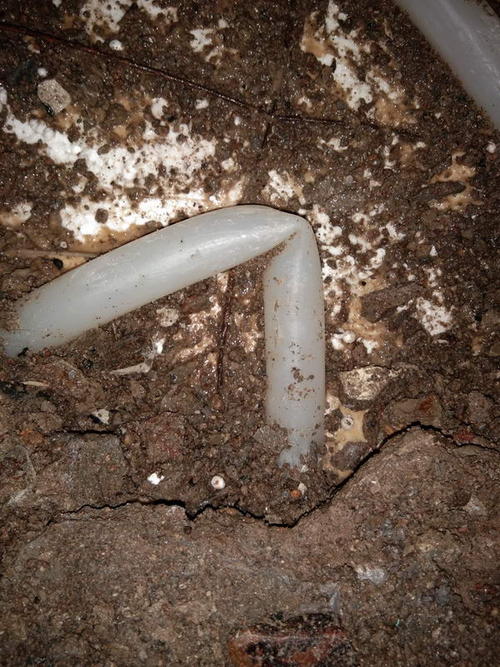 总口管理区堵点精准查找